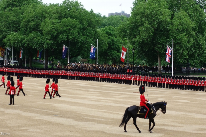 Trooping the Colour - Colonel's Review Horse Guards Parade