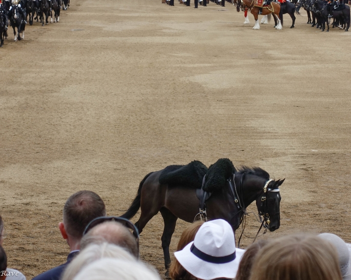 Trooping the Colour - Colonel's Review Horse Guards Parade
