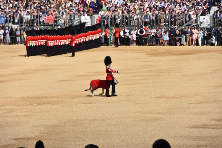 Trooping the Colour, Colonel’s Review