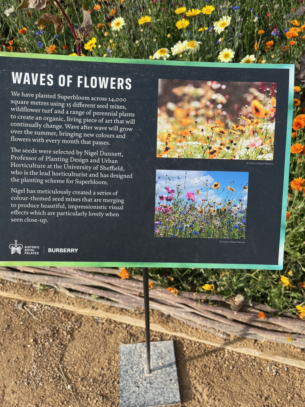 Superbloom - Tower of London Private Viewing by Livery Companies
