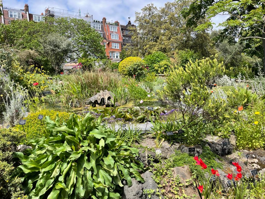 Mistress Event The Chelsea Physic Garden