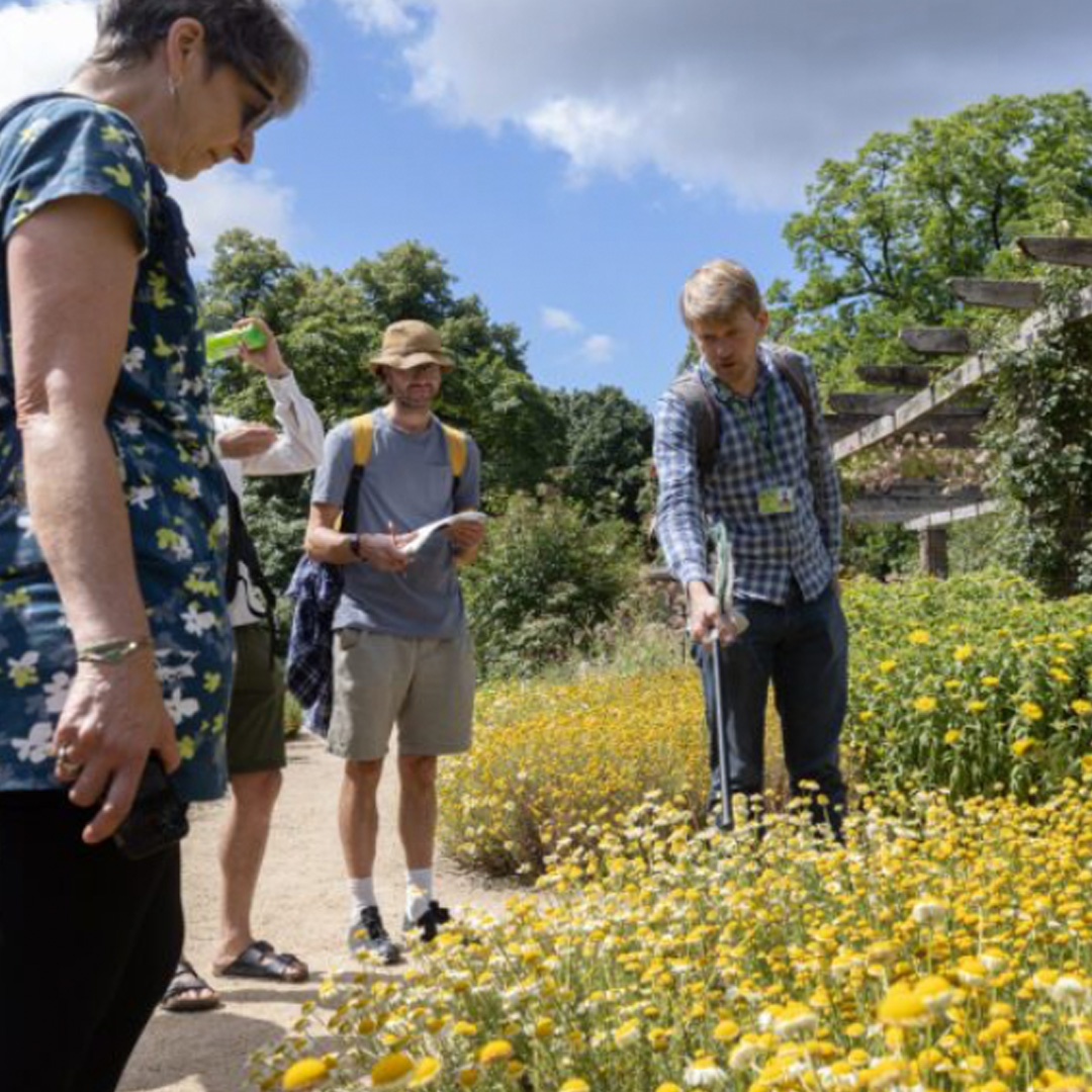 Proud supporters of Pollinating London Together