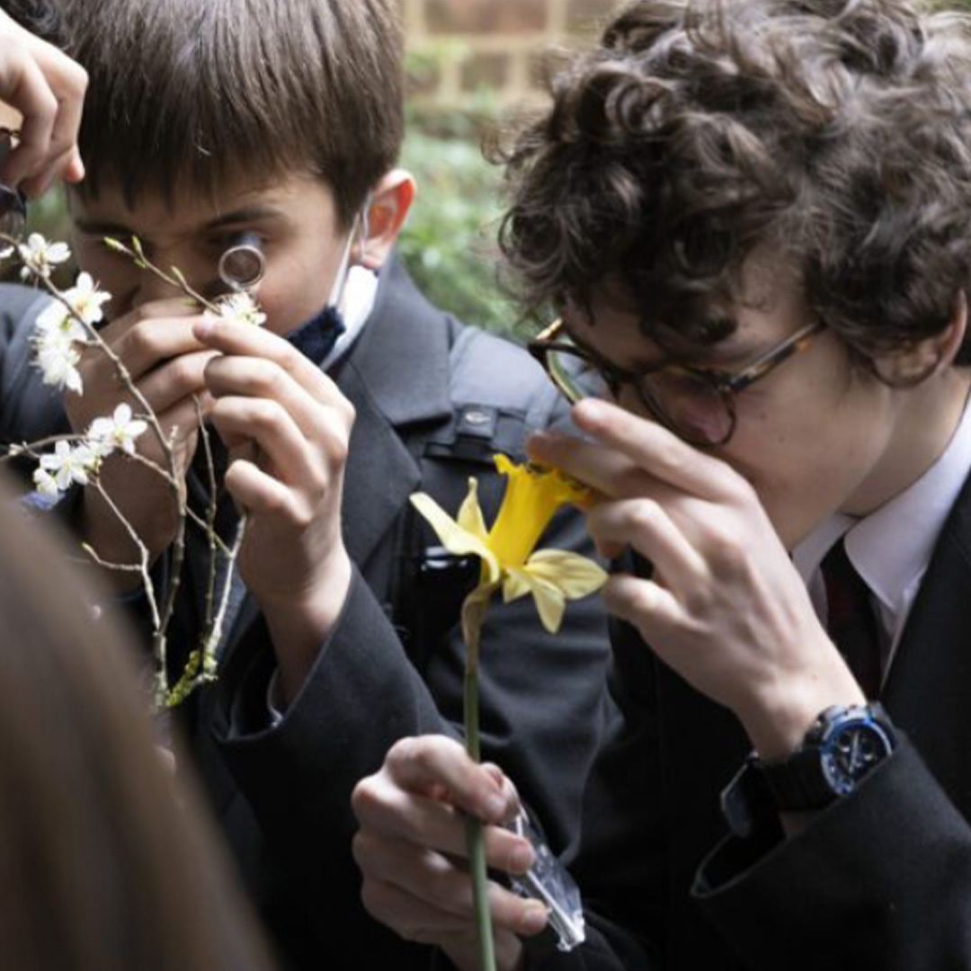 Proud supporters of Pollinating London Together