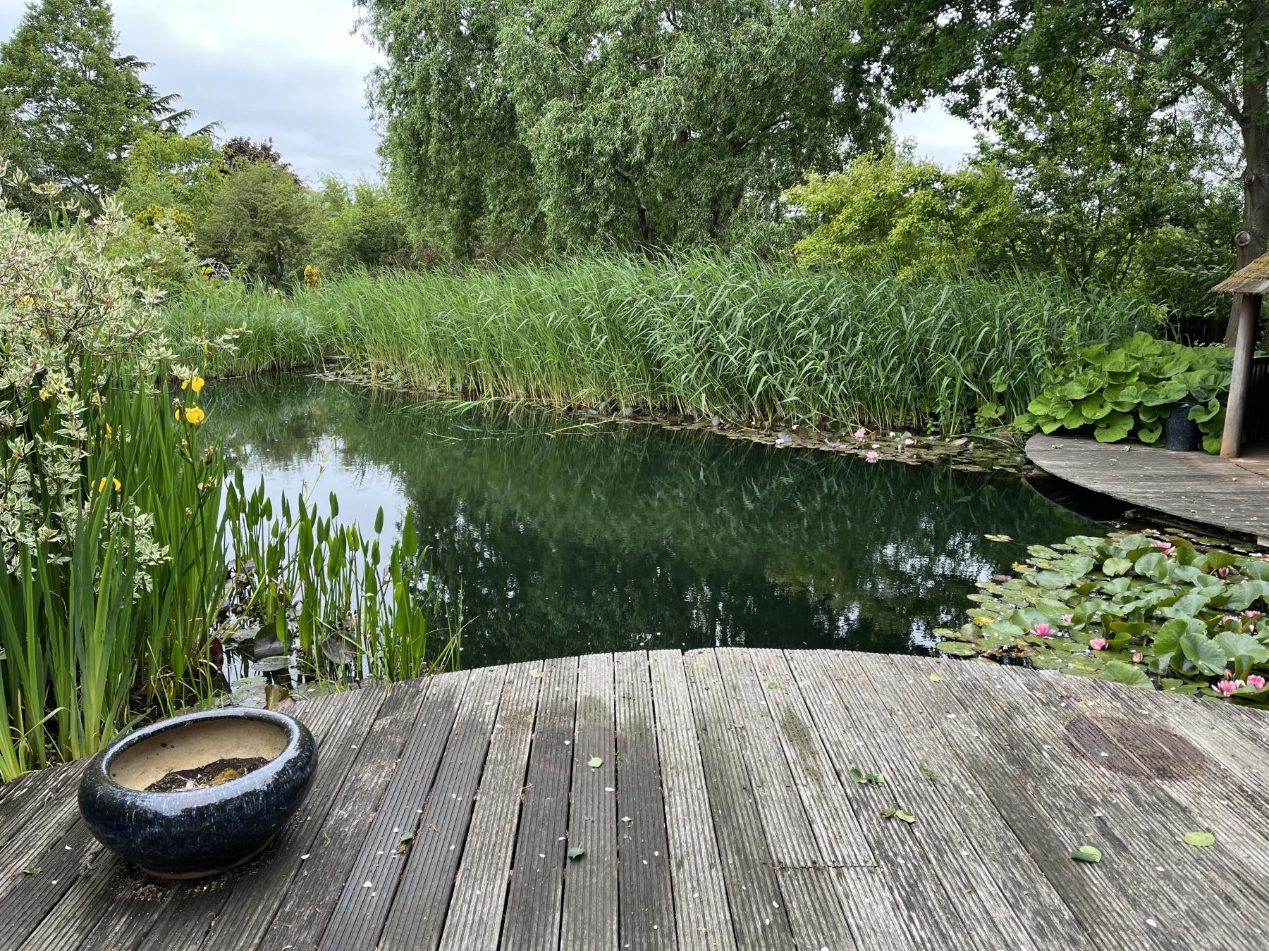 Theobalds Farmhouse Garden Crews Hill