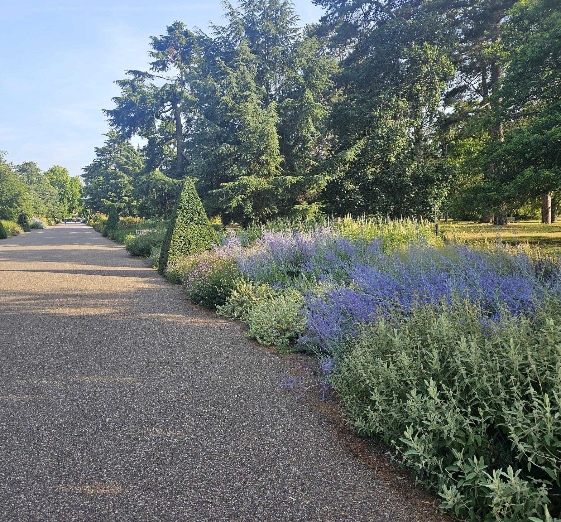 The Great Borders on the Broad Walk Kew Gardens