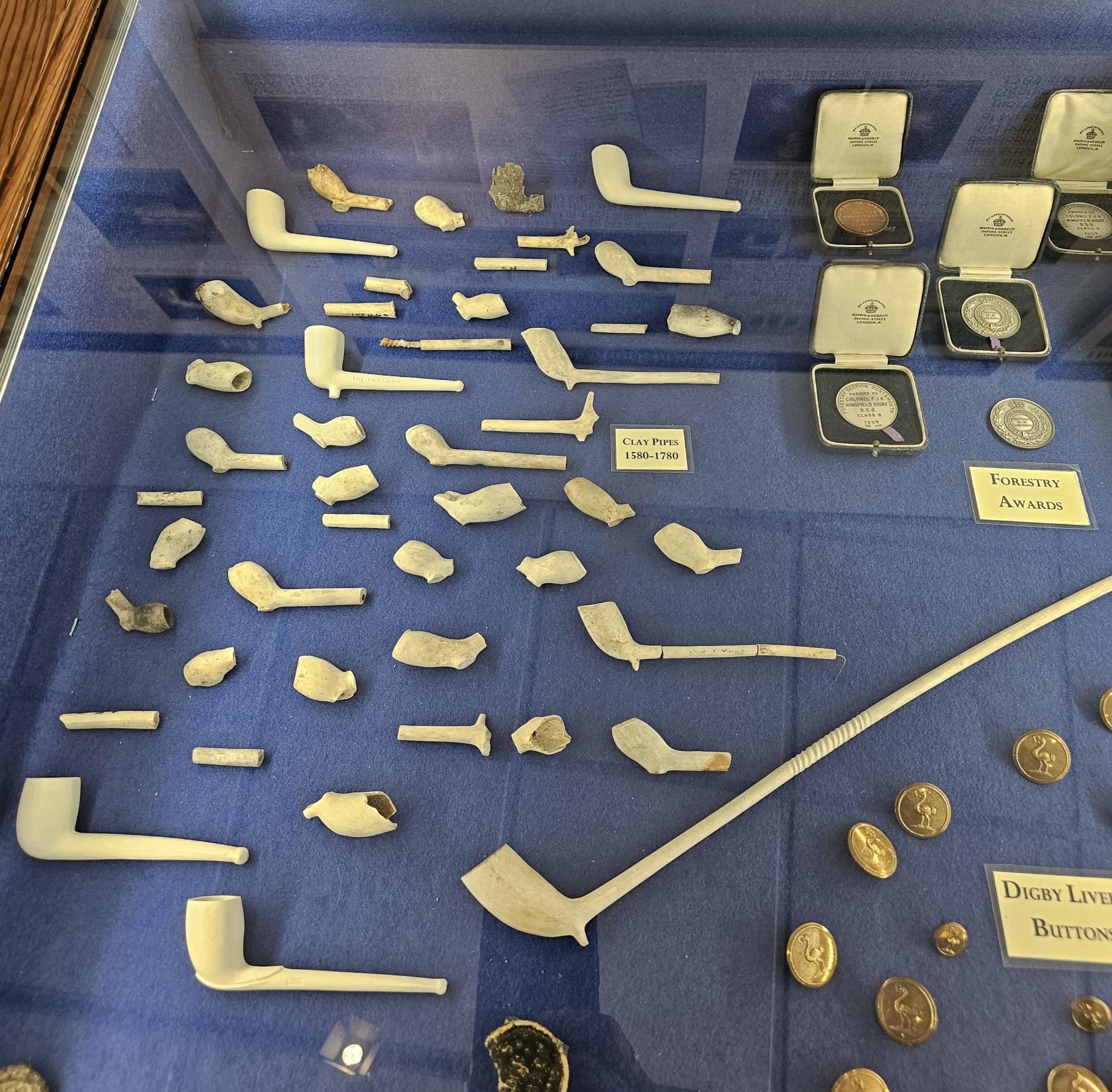 Clay pipes collection Sherborne Castle and Gardens
