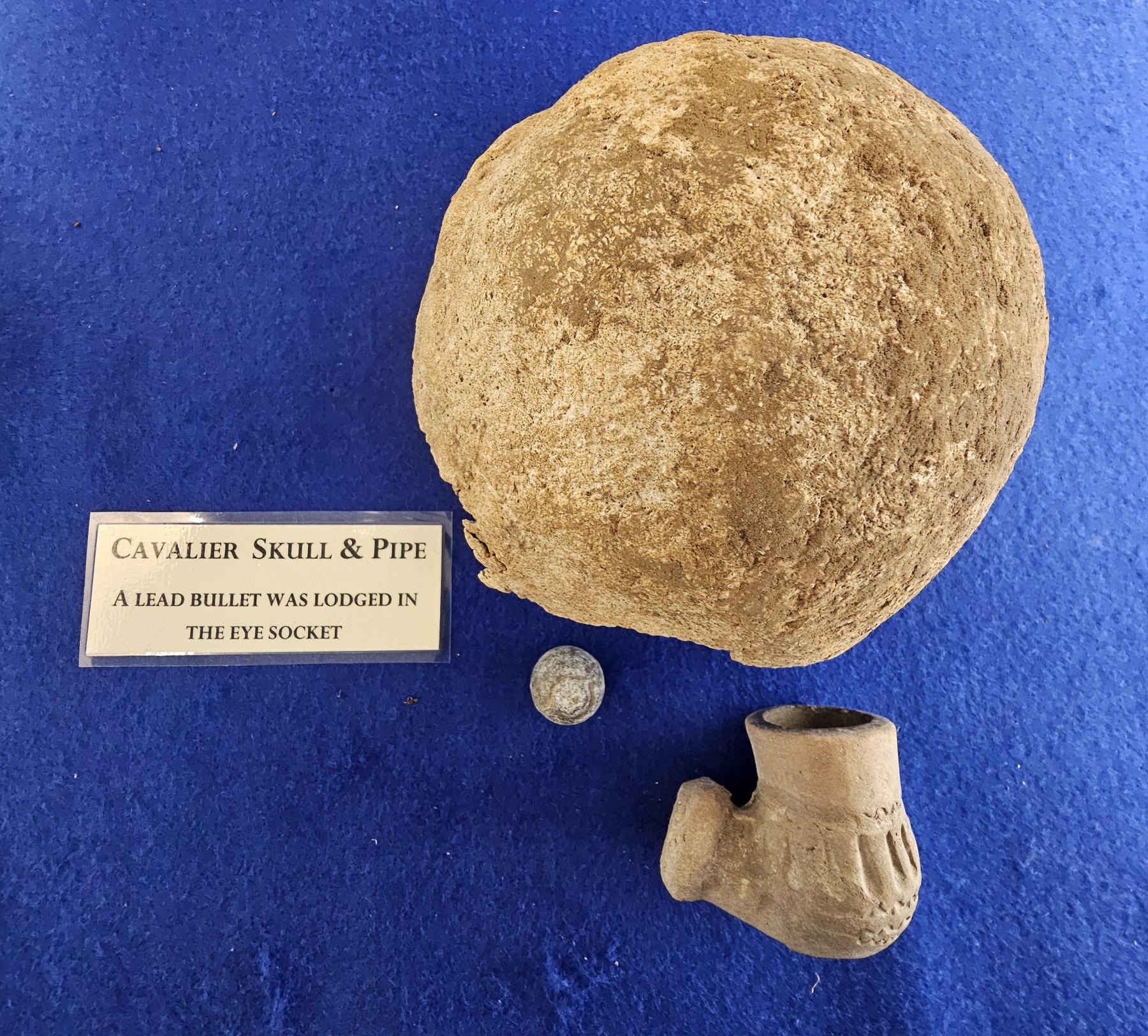 Cavalier's skull, bullet and pipe Sherborne Castle and Gardens
