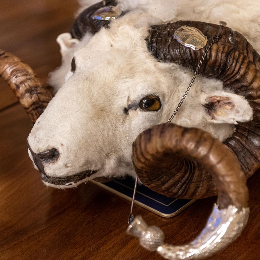 CEDRIC - A SCOTTISH RAM'S HEAD SNUFF MULL  - Snuff Mull page gallery -  The Worshipful Company of Tobacco Pipe Makers and Tobacco Blenders